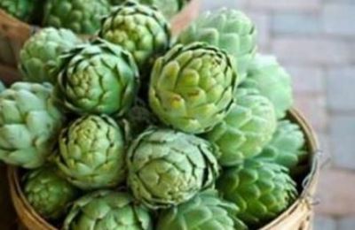 Artičoka u službi dugovječnosti